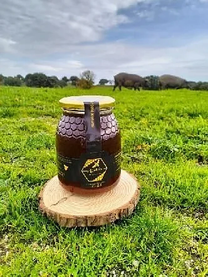 Tarro de miel Apícola Salicio en el campo