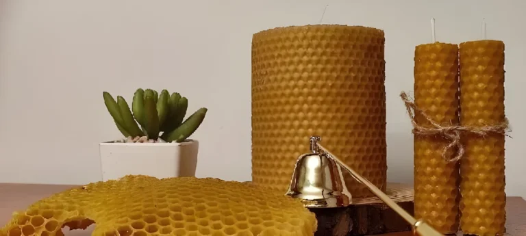 Velas de panal de cera de abeja